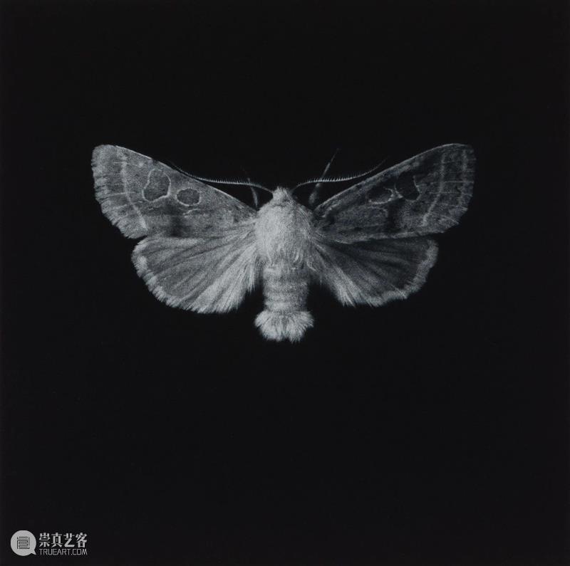 【线上展厅第九期】第六届上海铜版画展——国际美柔汀特展艺术家解读 视频资讯 上海徐汇艺术馆 崇真艺客